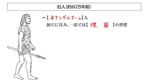 旧人 意味|旧人とは その特徴とネアンデルタール人 世界史用語28 / 世界史。